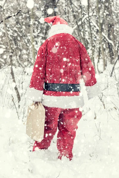 圣诞老人在树林里 — 图库照片