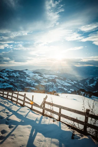 Beautiful Winter Landscape Tara Mountain Covered Snow Serbia — Stock Photo, Image