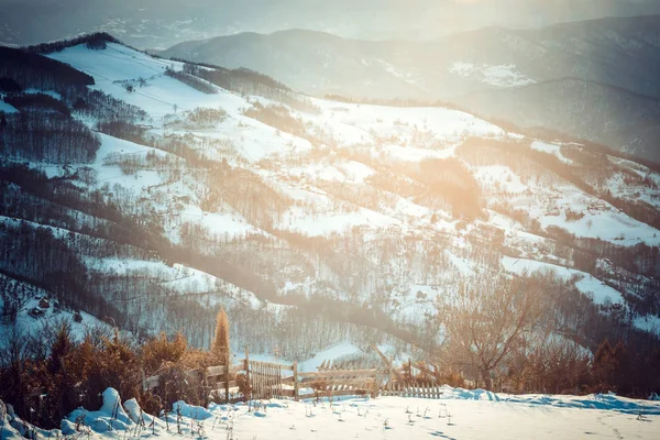 Vackra Landskapet Tara Mountain Serbien — Stockfoto