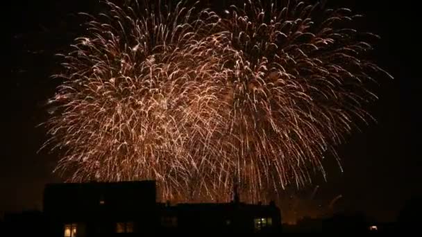Πυροτεχνήματα Γιορτή Στο Φόντο Πόλη Νύχτα — Αρχείο Βίντεο
