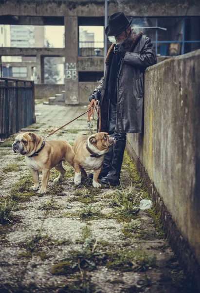 Muž Kouří Drží Dva Anglicky Bulldogs Selektivní Ostření — Stock fotografie