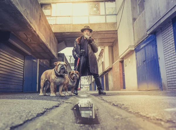Portrait Effrayant Homme Avec Deux Bulldogs Anglais Mise Point Sélective — Photo