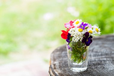 Buket eski ağaç gövdesi üzerinde bir cam renkli Bahçe çiçek