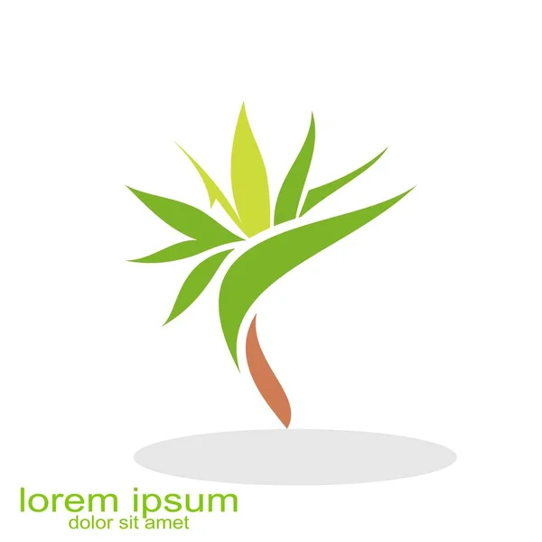 yaratıcı örnek tasarım çiçek logosu