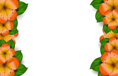 Vektör gerçekçi tropikal Hawaii çiçek amblemi. Beyaz arka planda turuncu egzotik çiçekler. Yaz cenneti. Pankart ve pankart için botanik doğa illüstrasyonu. Çiçek çerçevesi