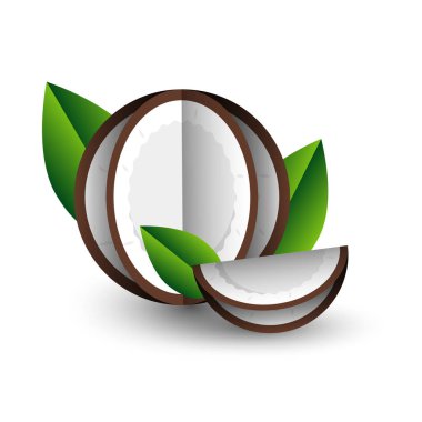 Vektör tropikal yaz egzotik meyve kağıdı hacmi keser. Origami. Beyaz arkaplanda izole edilmiş renk nesnesi. Hindistan cevizi ve dilim