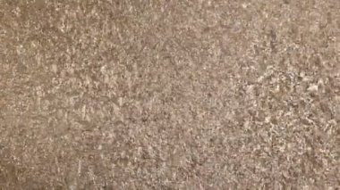 Altın doku animasyon 4k