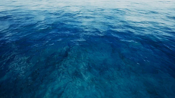 Poolvogel uitzicht met oceaan door 3d rendering scene — Stockfoto