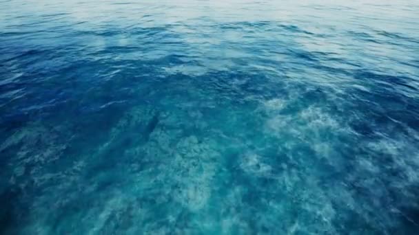 海を背景にした北極のバードビュー — ストック動画