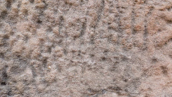 Gammal sand stenslottet bakgrund — Stockfoto