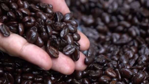 Aromatische geroosterde koffiebonen, handen kwaliteit testen in slow motion — Stockvideo