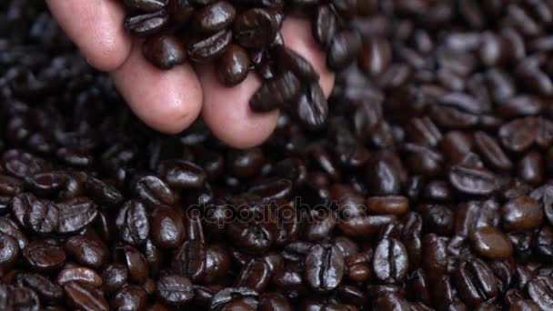 芳香焙煎コーヒー豆、スローモーションで品質をテストの手 — ストック動画