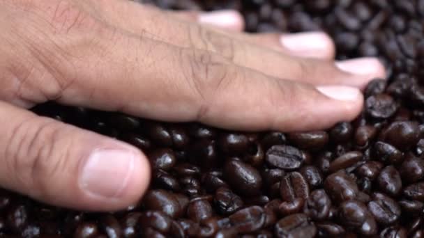 芳香焙煎コーヒー豆、スローモーションで品質をテストの手 — ストック動画