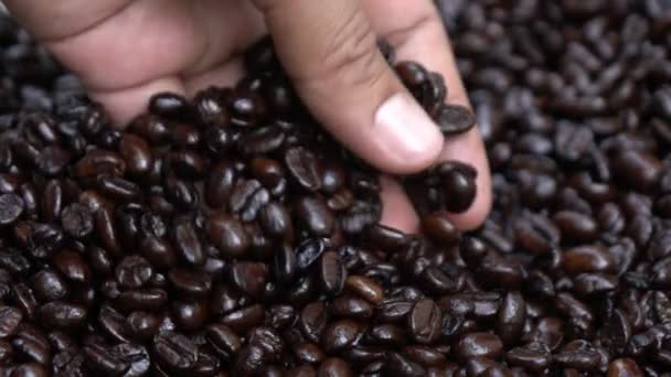 Aromatische geroosterde koffiebonen, handen kwaliteit testen in slow motion — Stockvideo