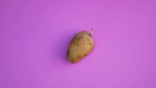 Arrêter Mouvement Des Fruits Légumes Déplaçant Sur Fond Couleur — Video