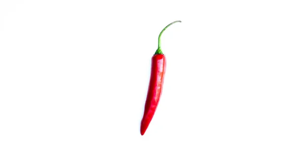 Red Chili White Background — Stock Photo, Image