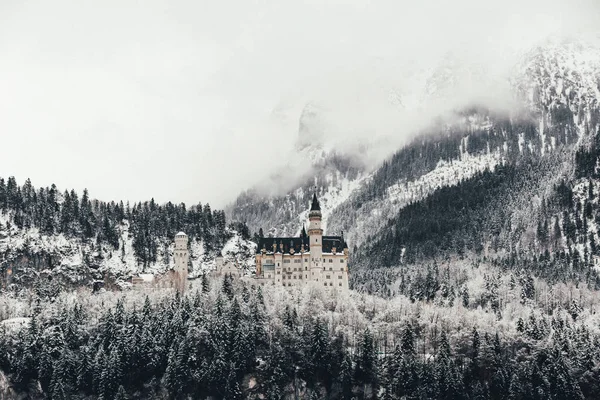 Overdag Uitzicht Neuschwanstein Kasteel Het Besneeuwde Bos Beieren Duitsland — Stockfoto
