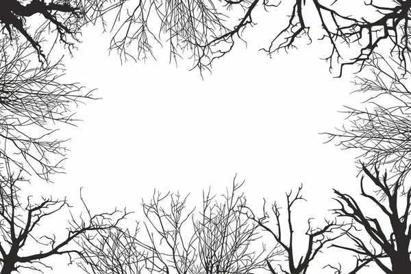 Stromy Prohlédni zespodu — Stockový vektor