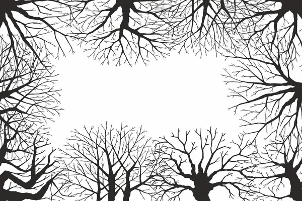 Trees view from below — Stock Vector