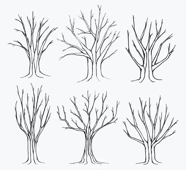 Коллекция силуэтов деревьев — стоковый вектор