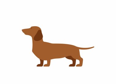 Köpek dachshund. vektör simgesi. 