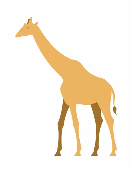 Žirafa vektorové ikony — Stockový vektor