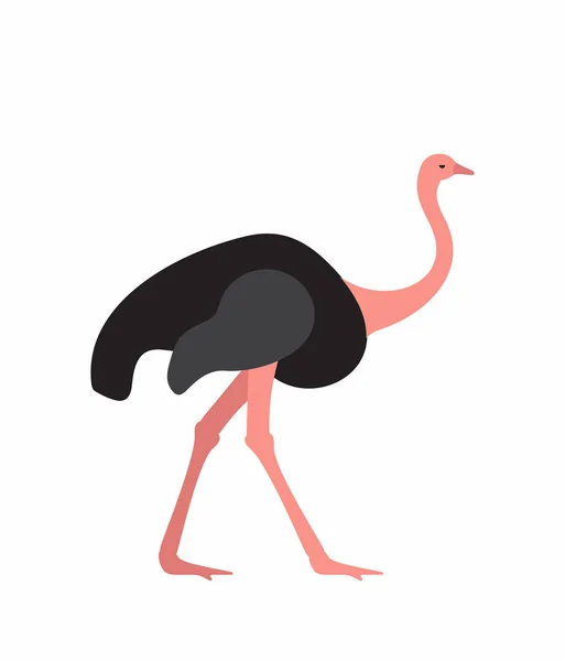 Icono vector avestruz . — Vector de stock