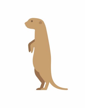 Dikkatli gopher vektör simgesi