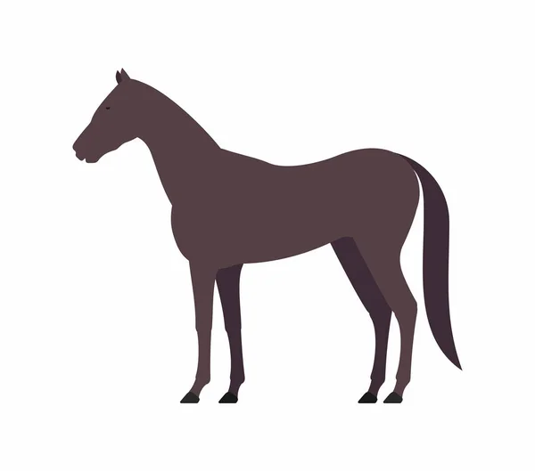 Horse vector icon — Stock Vector