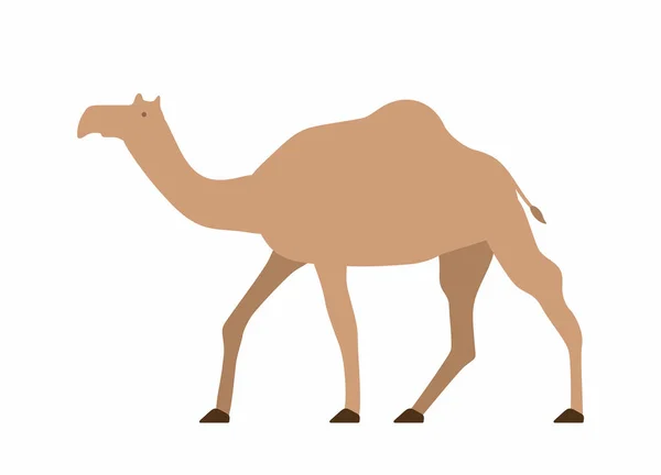 Camello. icono de vector — Archivo Imágenes Vectoriales