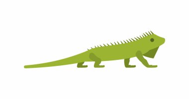 İguana vektör simgesi