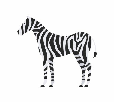Zebra vektör simgesi