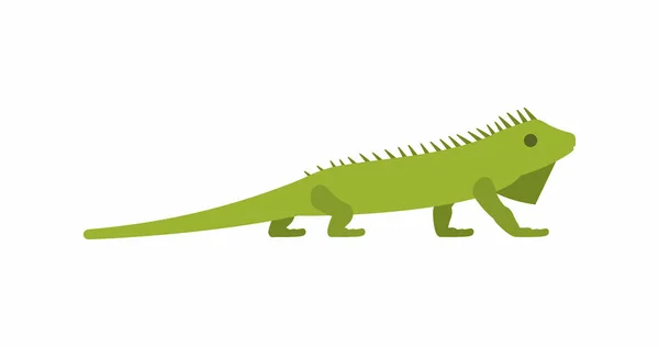 Iguana vector icono — Archivo Imágenes Vectoriales
