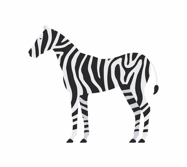 Zebra vector icon — Stock Vector