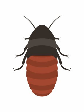 Hamam böceği vektör simgesi