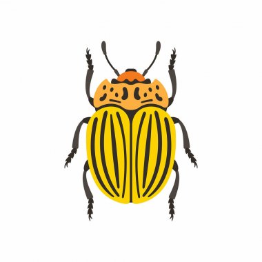 Colorado böceği vektör simgesi