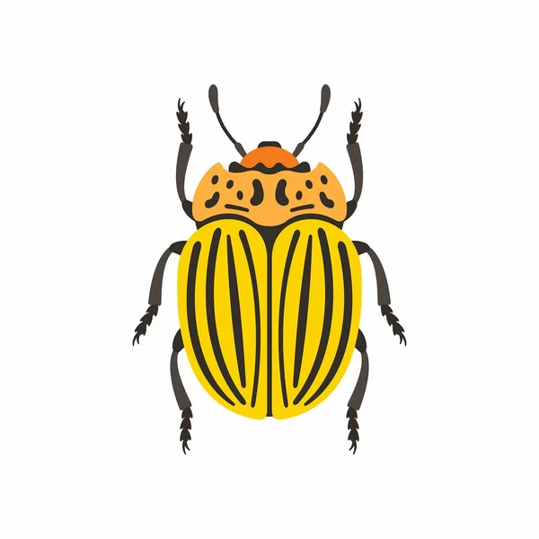 Colorado chrząszcz wektor ikona — Wektor stockowy