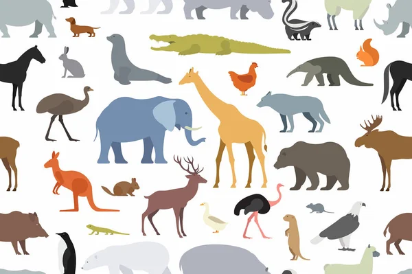 Pattern with different animals — Stock Vector