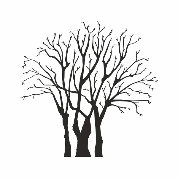 Träd Silhuett Vit Bakgrund — Stock vektor