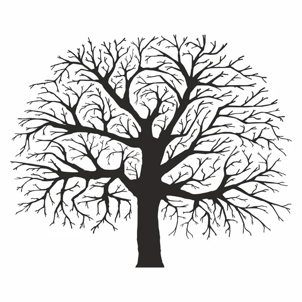 Silueta Árbol Sobre Fondo Blanco — Archivo Imágenes Vectoriales