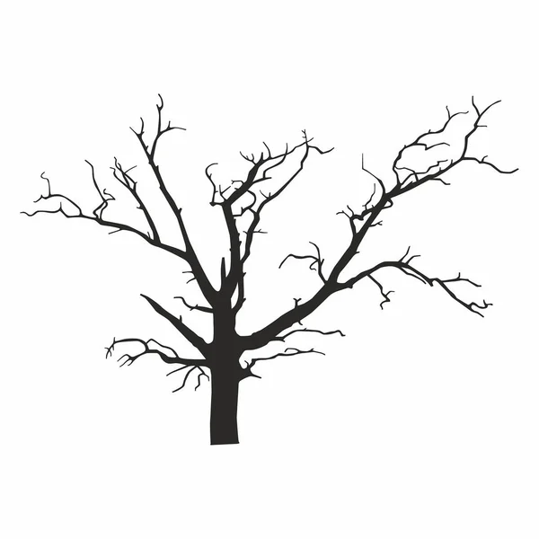 Silueta Árbol Sobre Fondo Blanco — Vector de stock