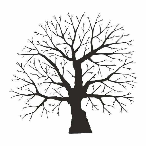 Silhouette Albero Sfondo Bianco — Vettoriale Stock