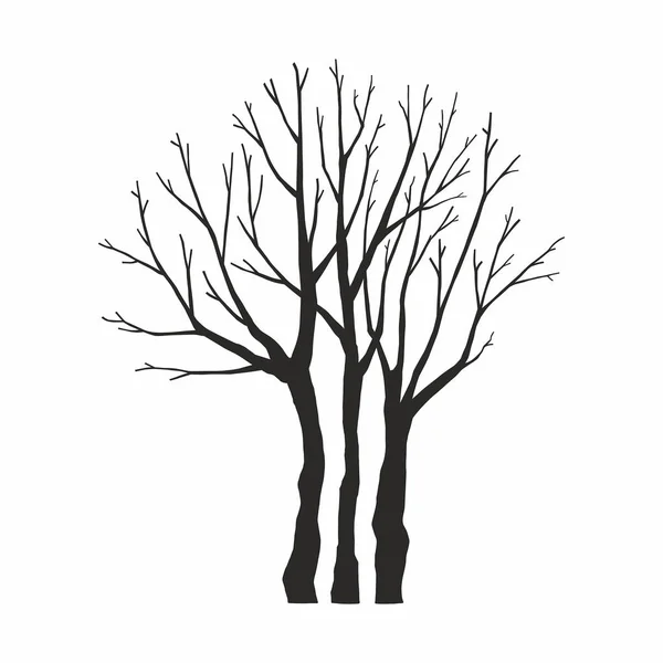 Sylwetka Drzewa Białym Tle — Wektor stockowy