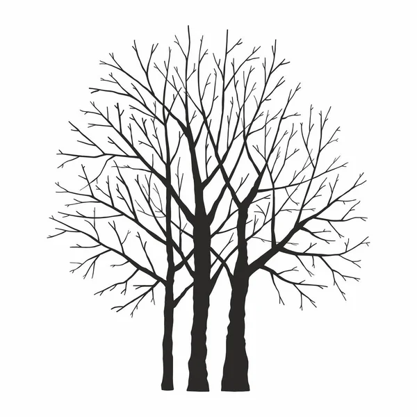 Baumsilhouette Auf Weißem Hintergrund — Stockvektor
