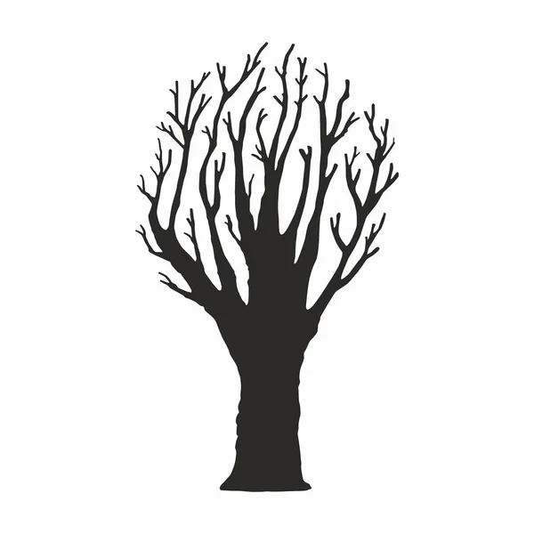 Silueta Árbol Sobre Fondo Blanco — Vector de stock