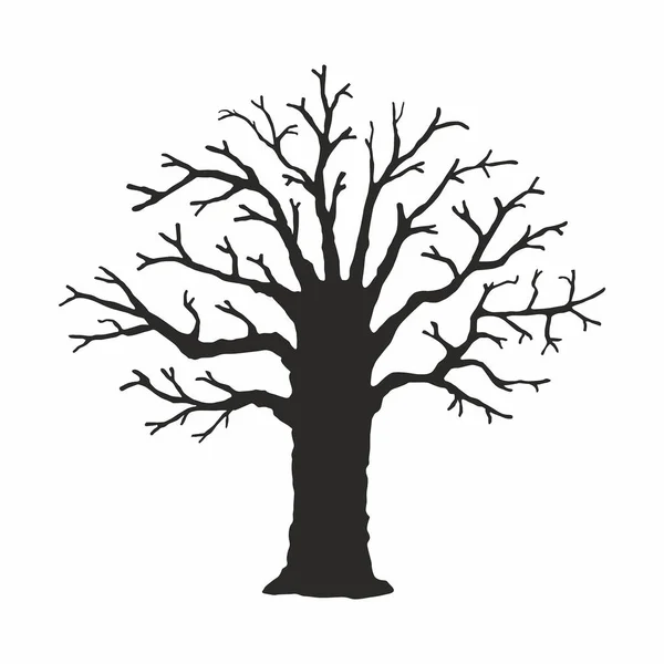 Silueta Árbol Sobre Fondo Blanco — Vector de stock