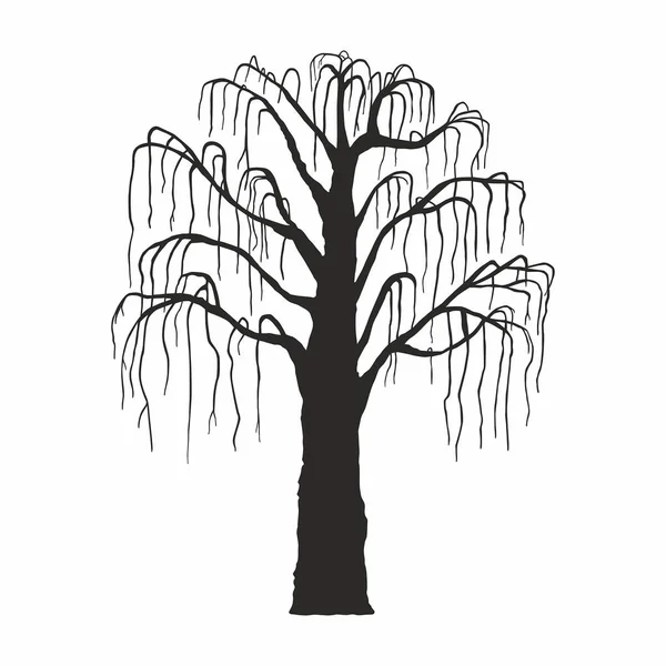 Silhouette Arbre Sur Fond Blanc — Image vectorielle