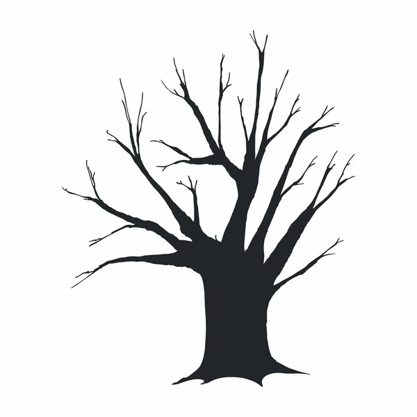 Silueta Árbol Sobre Fondo Blanco — Vector de stock