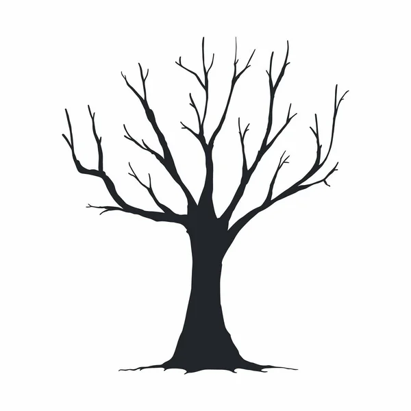 Silueta Árbol Sobre Fondo Blanco — Vector de stock