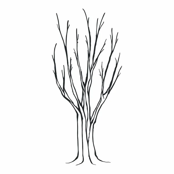 白い背景の木のシルエット — ストックベクタ